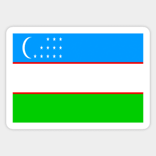 Uzbekistan flag Sticker